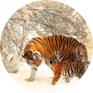 Magnetka na vyšívanie - Tigria rodinka na snehu - megastitch.eu