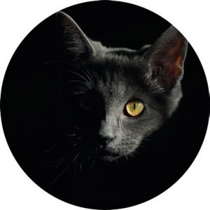 Magnetka na vyšívanie - Sivá mačka v tme - megastitch.eu