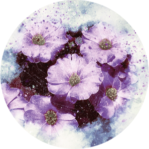 Magnetka na vyšívanie - Kytica fialových kvetov - megastitch.eu