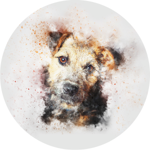 Magnetka na vyšívanie - Maľovaný portrét psa - megastitch.eu