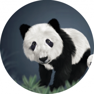 Magnetka na vyšívanie - Kreslená panda - megastitch.eu