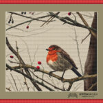 Vtácik Robin_finálna predloha v ráme