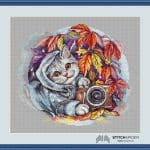 Jesenné fotenie s mačkou v ráme