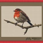 Predloha na vyšívanie mini vtáčík Robin