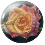 Magnetka na ihly na vyšívanie - jemná ruža - megastitch.eu