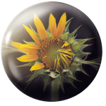 Magnetka na ihly na vyšívanie - slnečnica - megastitch.eu