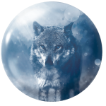 Magnetka na ihly na vyšívanie - vlčí pohľad - megastitch.eu