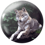 Magnetka na ihly na vyšívanie - sediaci vlk - megastitch.eu