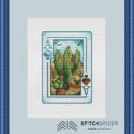 Divoký západ kaktus v ráme